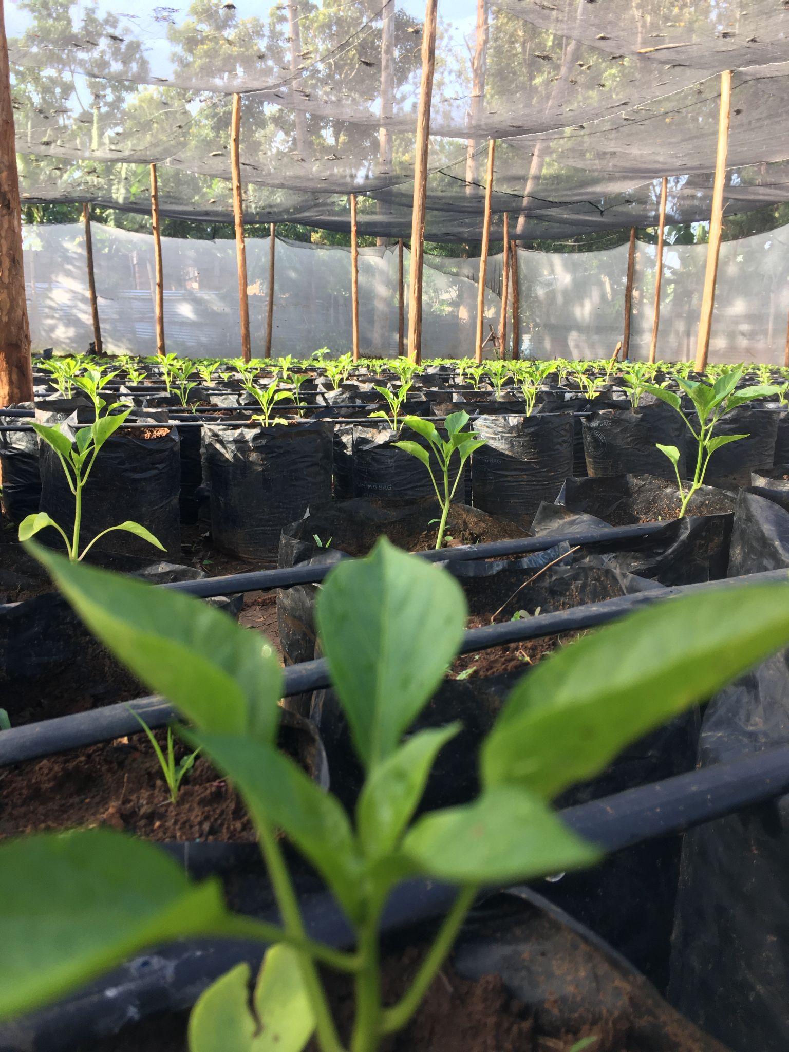 Farmers Training Program