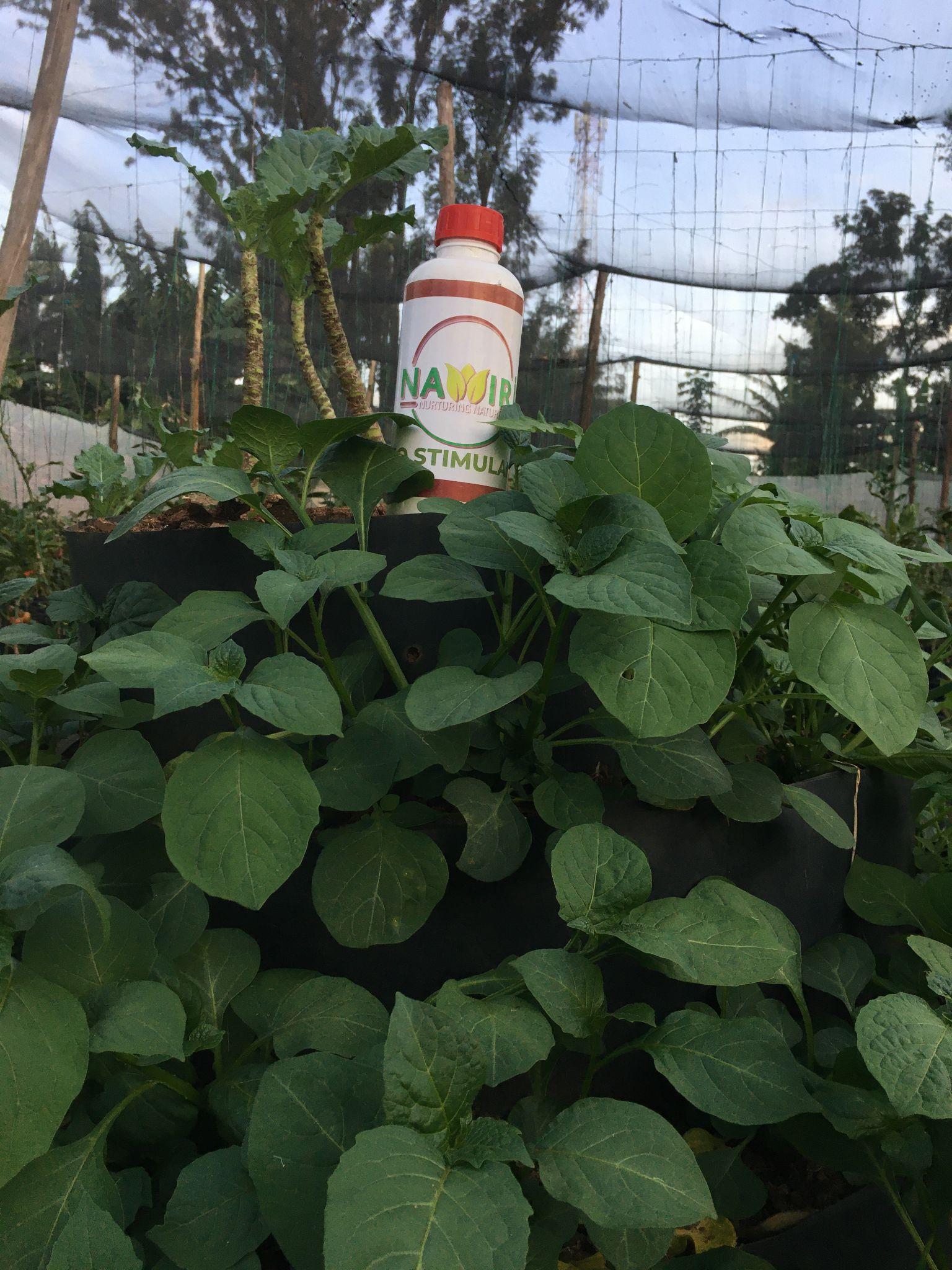 Product Distribution